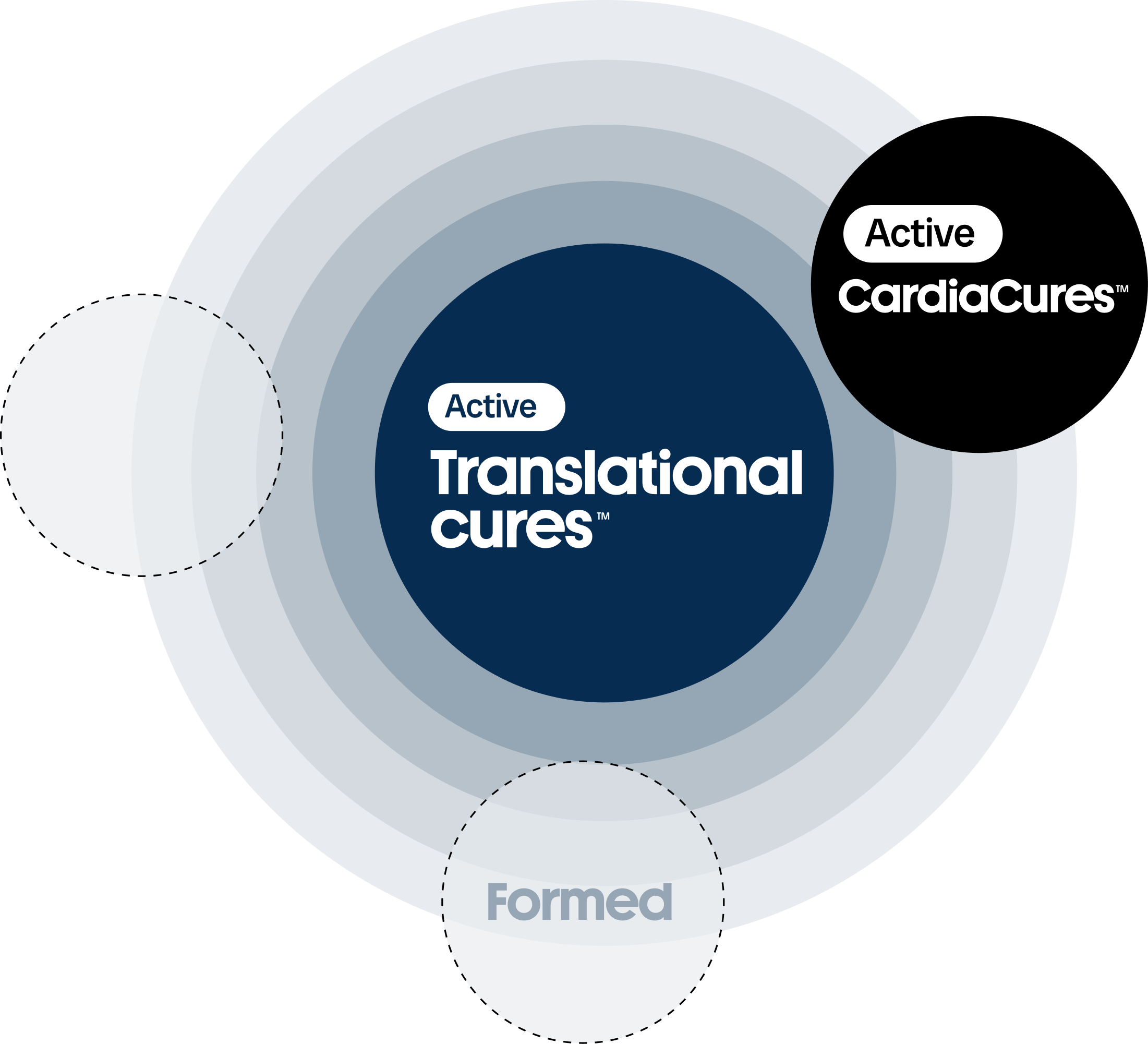 Hub and Spoke model - Translational Cures at center with CardiaCures and Formed product companies